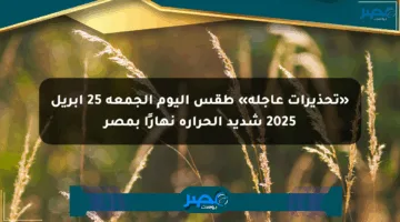 «تحذيرات عاجلة» طقس اليوم الجمعة 25 أبريل 2025 شديد الحرارة نهارًا بمصر